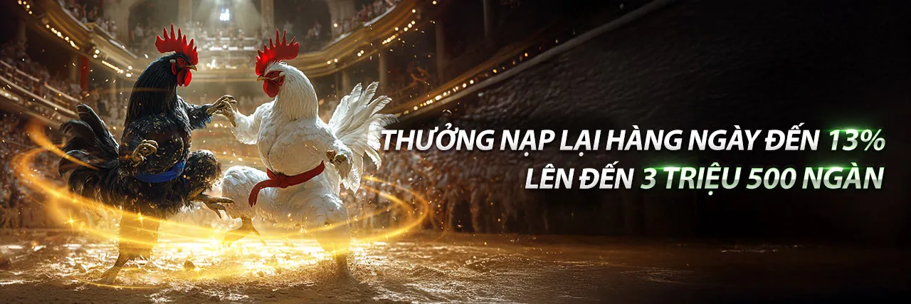 Hình ảnh đội ngũ 88king chính thức chuyên nghiệp